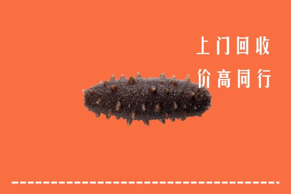 高价求购：黔东南州丹寨县回收海参