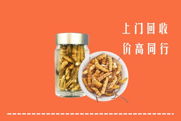 黔东南州丹寨县回收冬虫夏草